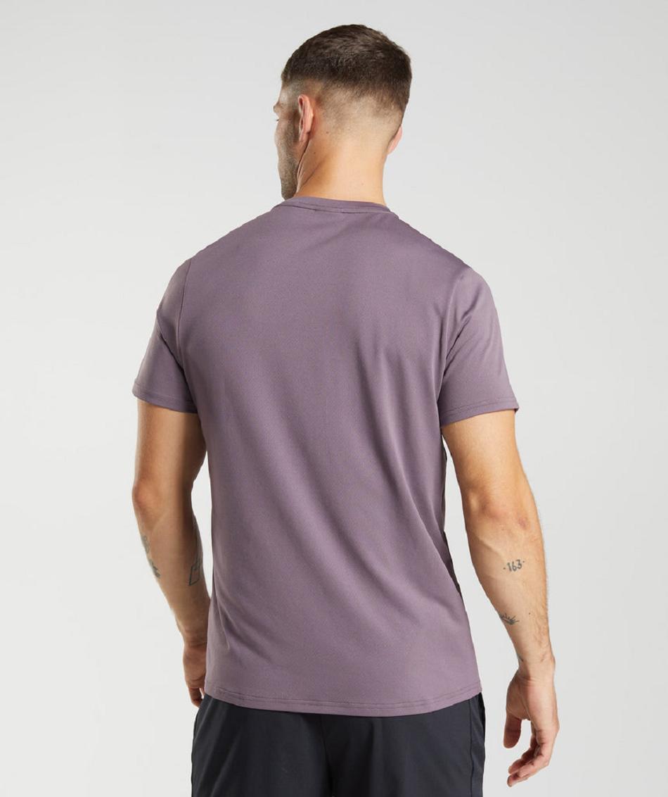 T Shirts Gymshark Arrival Hombre Moradas | CO 3281SGL